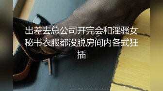 出差去总公司开完会和淫骚女秘书衣服都没脱房间内各式狂插