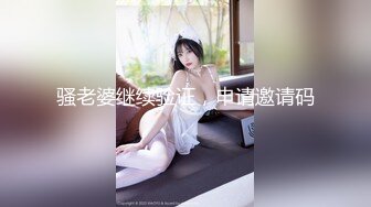 骚老婆继续验证，申请邀请码