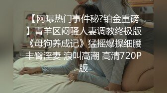 欧美情色 BLACKED媚黑系列 内嵌中文字幕系列 超清合集五【15v】 (6)