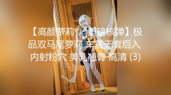 【高颜萝莉❤️重磅核弹】极品双马尾萝莉 车震无套后入 内射粉穴 美乳翘臀 高清 (3)