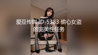 爱豆传媒 ID-5383 偷心女盗的完美性任务