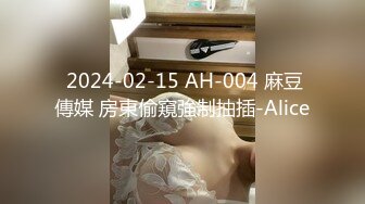 麻豆传媒 MD0261 偷情俏丽人妻 放进去一下下就好