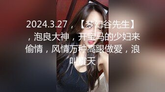  新人高挑妹子，露脸模特身材，沙发上和型男啪啪全过程，连体网袜抠逼亲嘴