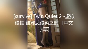 [survive] Twin Quiet 2 -虚拟侵蚀 被邪恶浸染之时- [中文字幕]