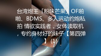 玩老婆的BB2