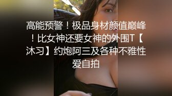 爆操丰乳肥臀的大坦克少妇