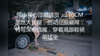 MCY-0177 玥可岚 双薪加巨屌的加班福利 淫浪骚人满天下 麻豆传媒映画