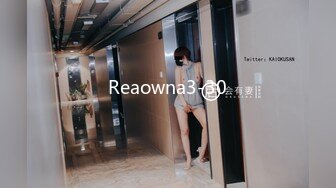 Reaowna3-30