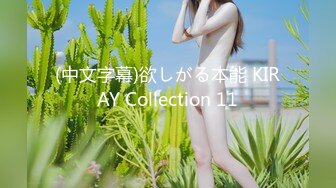 (中文字幕)欲しがる本能 KIRAY Collection 11