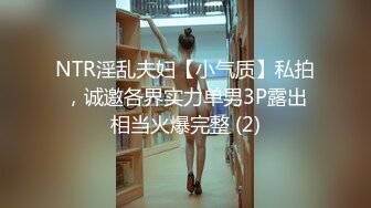 NTR淫乱夫妇【小气质】私拍，诚邀各界实力单男3P露出相当火爆完整 (2)