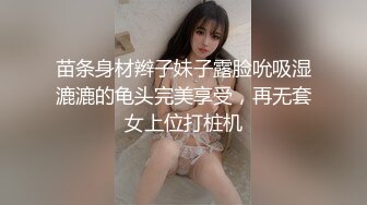 推特网红尤物欲子姐姐【小蔡头喵喵】