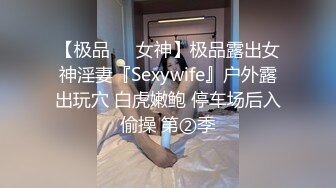 户外车震良家少妇（全集）