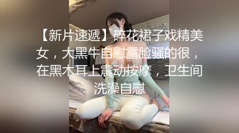 母狗2 (卖个视频还被说恰烂钱 可以不买 但你别想白嫖)