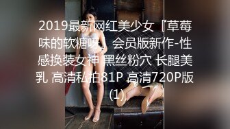 2019最新网红美少女『草莓味的软糖呀』会员版新作-性感换装女神 黑丝粉穴 长腿美乳 高清私拍81P 高清720P版 (1)