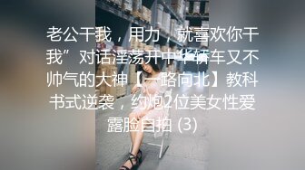 老公干我，用力，就喜欢你干我”对话淫荡开中华轿车又不帅气的大神【一路向北】教科书式逆袭，约炮2位美女性爱露脸自拍 (3)