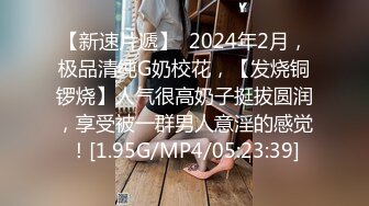 STP33402 才藝美少女！完美身材細腰美乳！難得一見超嫩美穴，振動棒抽插水嫩多汁，翹起美臀一線天饅頭逼 VIP0600