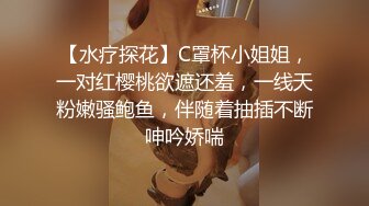 国产CD系列伪娘蜜雅半透黑丝配上巨大的义乳很是惹火 被口罩小哥侧入呻吟不断