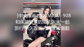    [中文字幕] 300MIUM-908 和保險營業的爆乳太太一起旅行.對久違的肉棒非常激動