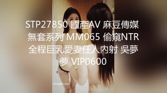 2/14最新 颜值气质美女有这样的女朋友在身边你还有心思工作吗VIP1196