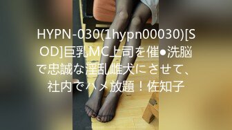 HYPN-030(1hypn00030)[SOD]巨乳MC上司を催●洗脳で忠誠な淫乱雌犬にさせて、社内でハメ放題！佐知子