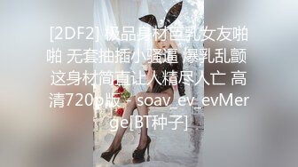 云盘精品泄密！济南眼镜反差婊【刘孟淑】不雅露脸自拍视图流出完整版，紫薇居家日常与小胖男友各种啪啪，叫声就骚的狠