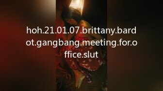 hoh.21.01.07.brittany.bardot.gangbang.meeting.for.office.slut