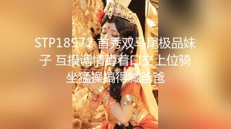 STP18972 首秀双马尾极品妹子 互摸调情蹲着口交上位骑坐猛操搞得喊爸爸