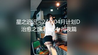 星之迟迟 - 24年04月计划D 治愈之旅 part.4-彻夜篇