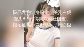 后入廊坊95二胎少妇