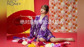 二月最新流出TW大神（野狼）潜入景区女厕偷拍美女尿尿系列第28季气质连衣裙美女脱裙子尿尿