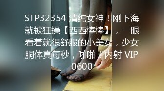 91呆哥系列018-旅馆硬上新婚少妇兰兰,最后强行内射听对白1