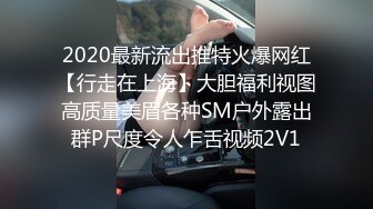 2020最新流出推特火爆网红【行走在上海】大胆福利视图高质量美眉各种SM户外露出群P尺度令人乍舌视频2V1