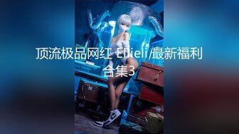 顶流极品网红 Ellieli 最新福利合集3